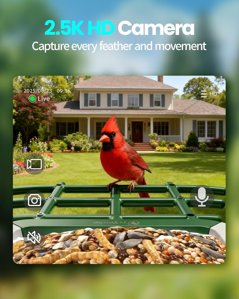 isYoung ​ Smart Bird Feeder with Camera, 2.5K QHD, AI Identify 16000+ Birds,Dual Solar Panel, AI Auto-Capture & Motion Detection, IP65 Weatherproof,170° Field of View, Perfect Bird Watching Gift - Image 3